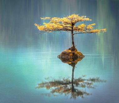 Reflection as a tool for mania and depression.